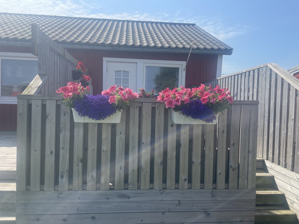 Köpingevägen 25 - Alvaret 1